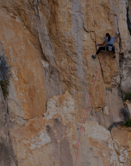 ReBIRD RESALE reduces our environmental impact – Arc'teryx RESALE Canada