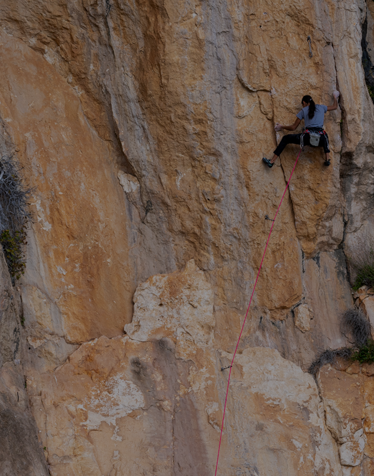 ReBIRD RESALE reduces our environmental impact – Arc'teryx RESALE Canada