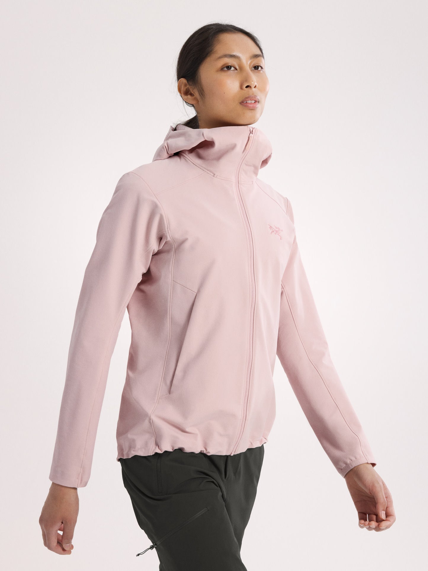 alt1
