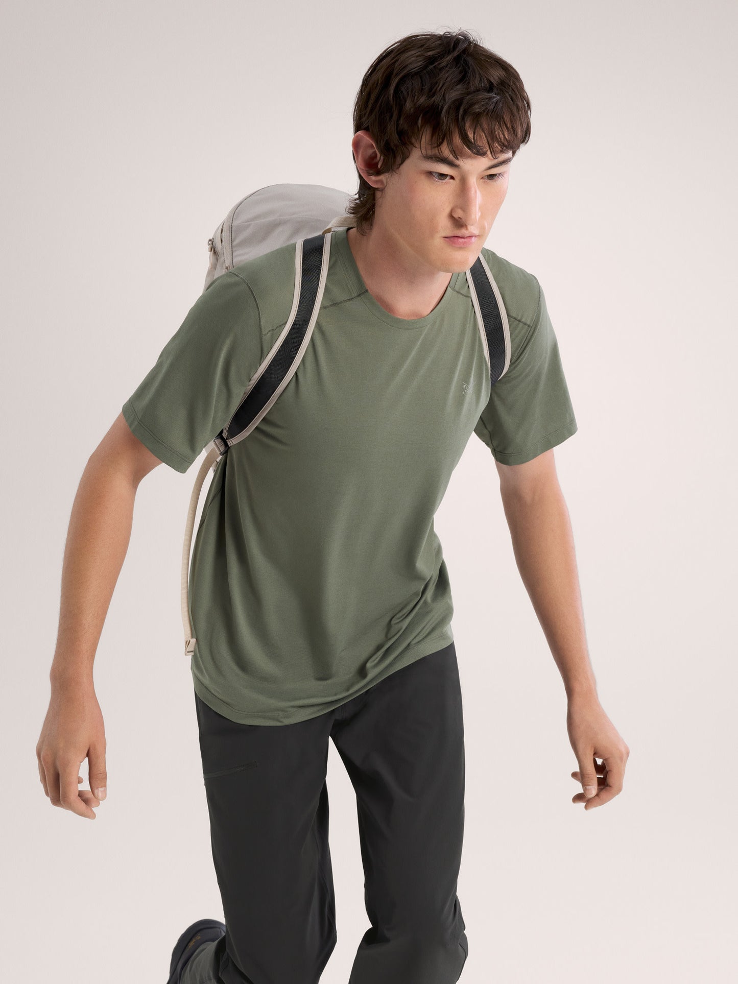 alt1