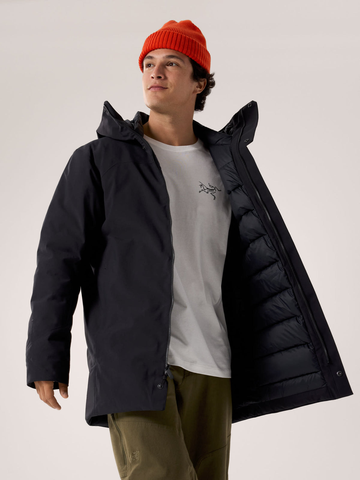 alt1
