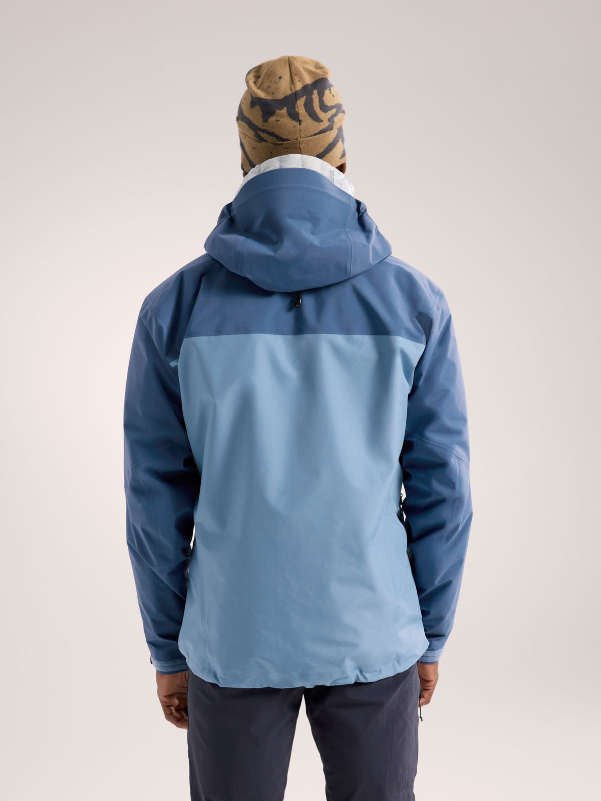 alt1