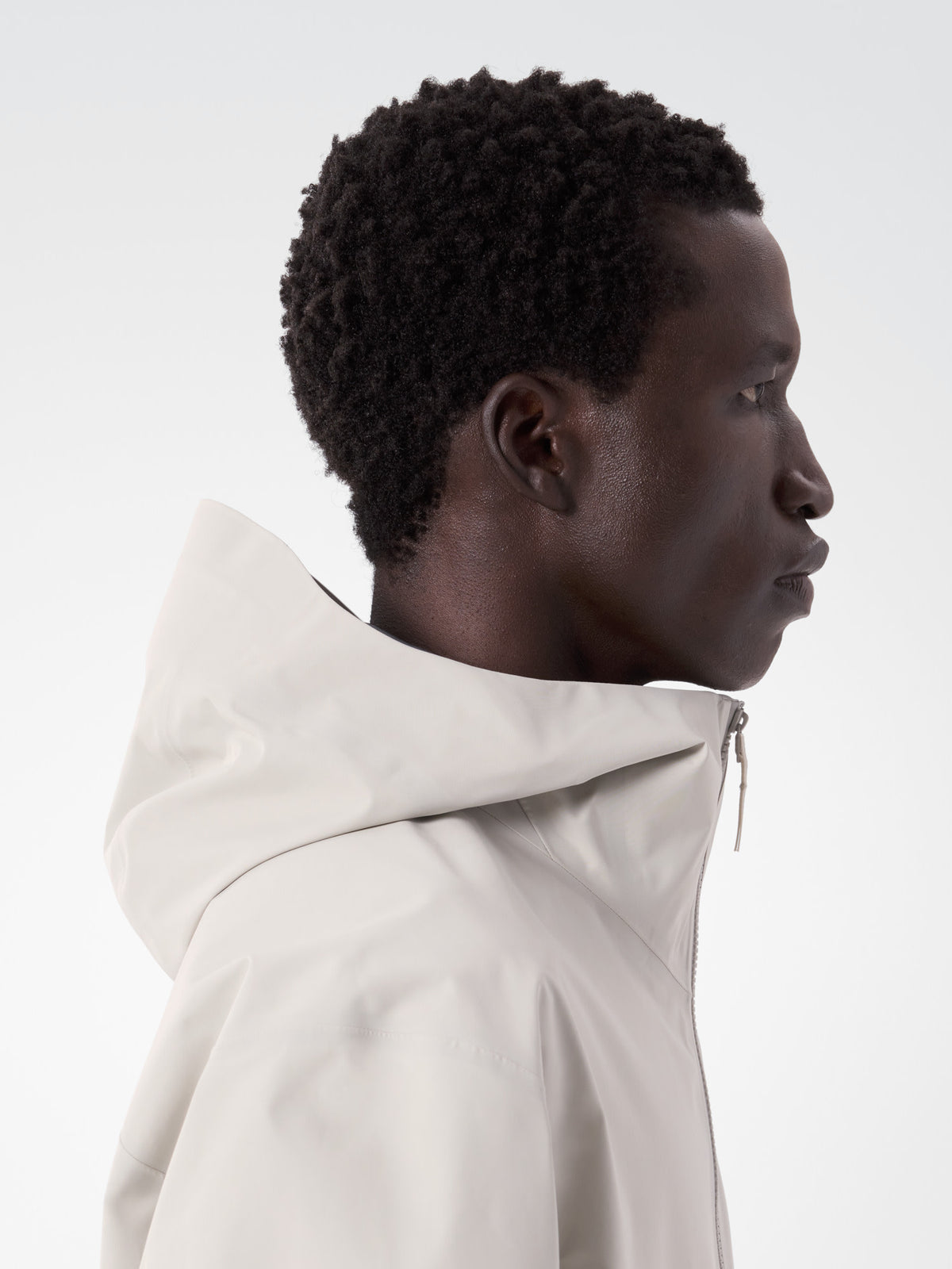 alt1