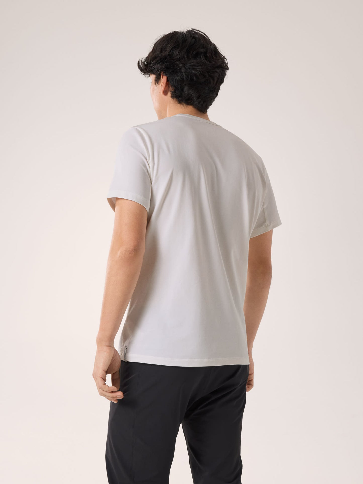 alt1