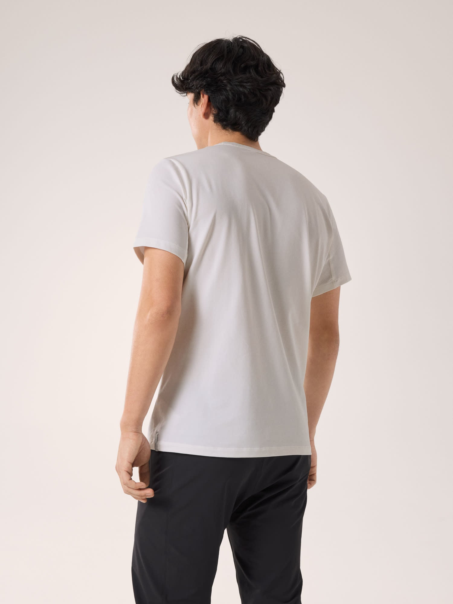 alt1